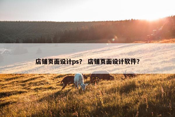店铺页面设计ps？ 店铺页面设计软件？-第1张图片-冷动云