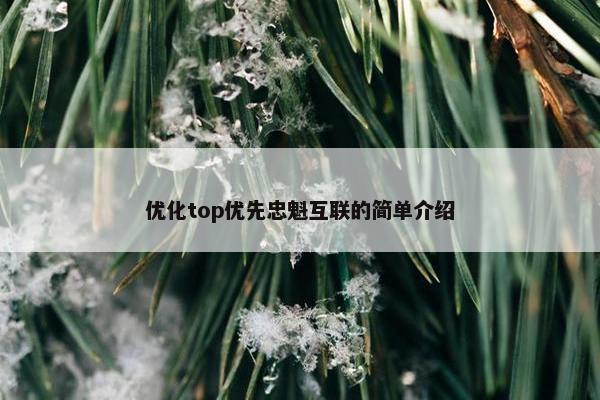 优化top优先忠魁互联的简单介绍-第1张图片-冷动云