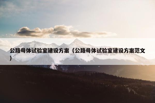公路母体试验室建设方案（公路母体试验室建设方案范文）-第1张图片-冷动云
