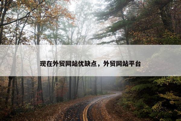 现在外贸网站优缺点，外贸网站平台-第1张图片-冷动云