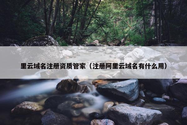 里云域名注册资质管家（注册阿里云域名有什么用）-第1张图片-冷动云