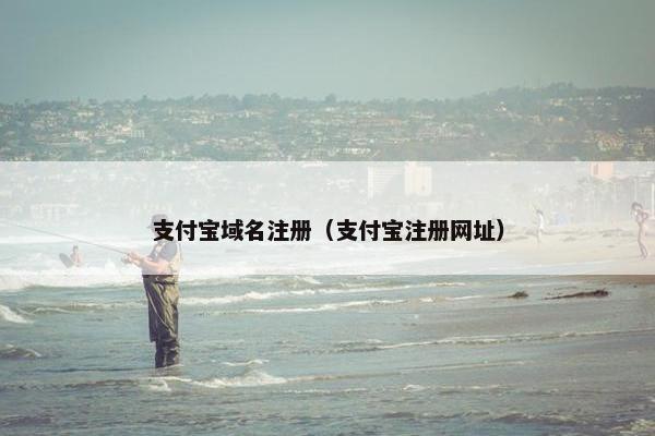 支付宝域名注册（支付宝注册网址）-第1张图片-冷动云