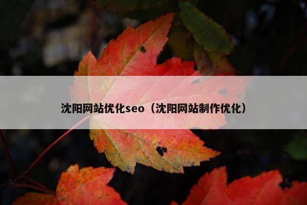 沈阳网站优化seo（沈阳网站制作优化）-第1张图片-冷动云