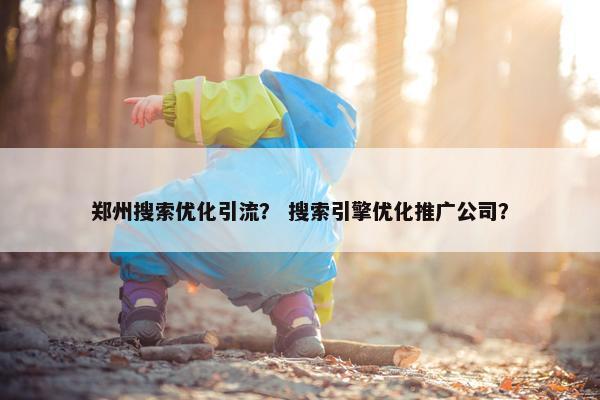 郑州搜索优化引流？ 搜索引擎优化推广公司？-第1张图片-冷动云