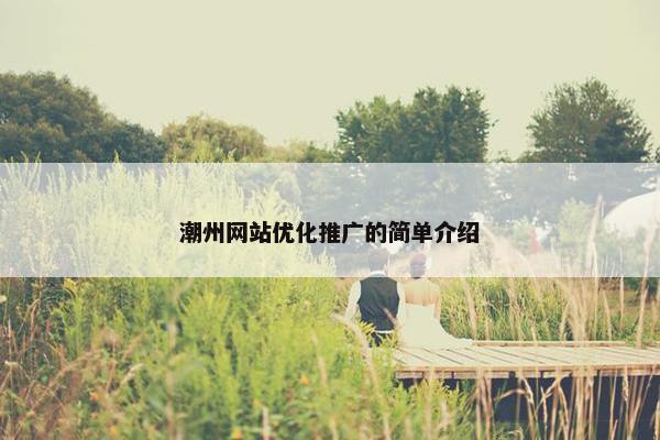 潮州网站优化推广的简单介绍-第1张图片-冷动云