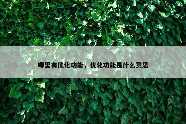 哪里有优化功能，优化功能是什么意思-第1张图片-冷动云