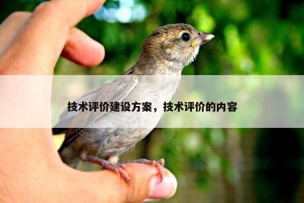 技术评价建设方案，技术评价的内容-第1张图片-冷动云