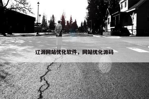 辽源网站优化软件，网站优化源码-第1张图片-冷动云