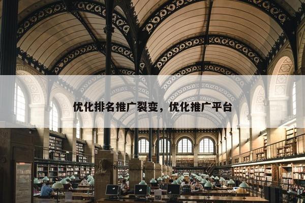 优化排名推广裂变，优化推广平台-第1张图片-冷动云