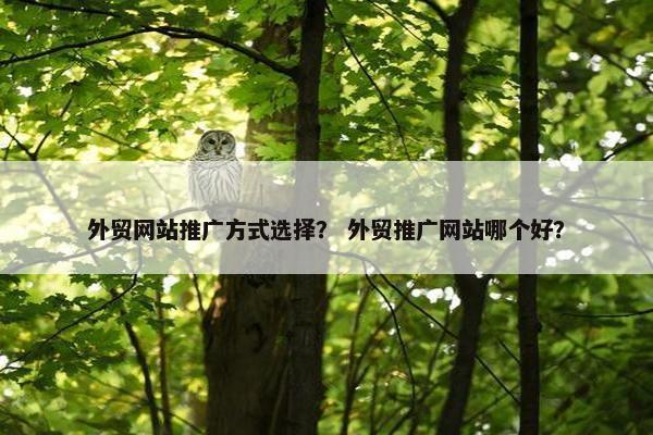 外贸网站推广方式选择？ 外贸推广网站哪个好？-第1张图片-冷动云