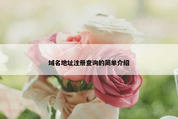 域名地址注册查询的简单介绍-第1张图片-冷动云