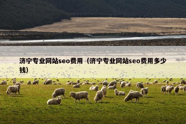济宁专业网站seo费用（济宁专业网站seo费用多少钱）-第1张图片-冷动云