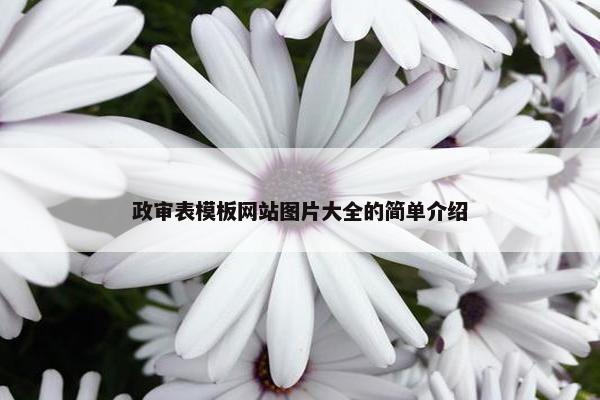 政审表模板网站图片大全的简单介绍-第1张图片-冷动云