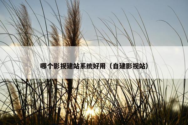 哪个影视建站系统好用（自建影视站）-第1张图片-冷动云