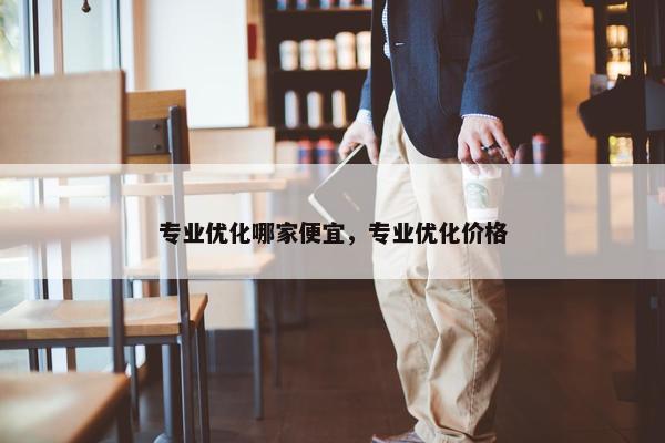 专业优化哪家便宜，专业优化价格-第1张图片-冷动云