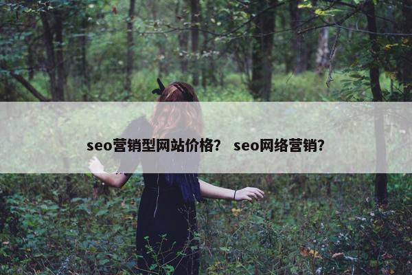 seo营销型网站价格？ seo网络营销？-第1张图片-冷动云