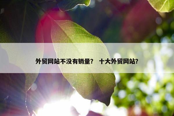 外贸网站不没有销量？ 十大外贸网站？-第1张图片-冷动云