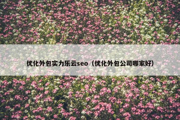 优化外包实力乐云seo（优化外包公司哪家好）-第1张图片-冷动云