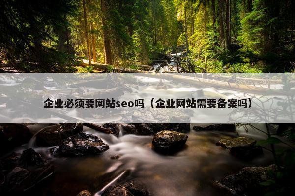 企业必须要网站seo吗（企业网站需要备案吗）-第1张图片-冷动云