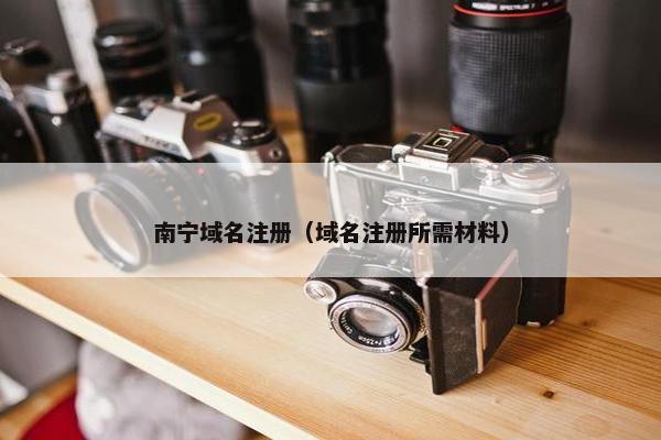 南宁域名注册（域名注册所需材料）-第1张图片-冷动云