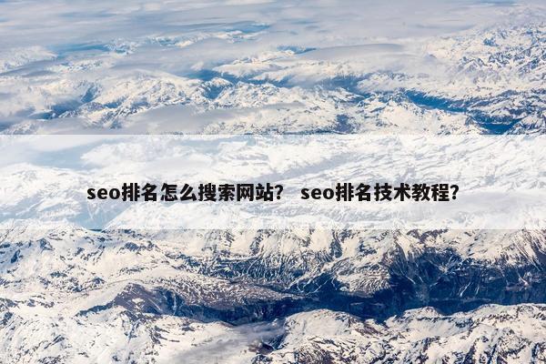 seo排名怎么搜索网站？ seo排名技术教程？-第1张图片-冷动云
