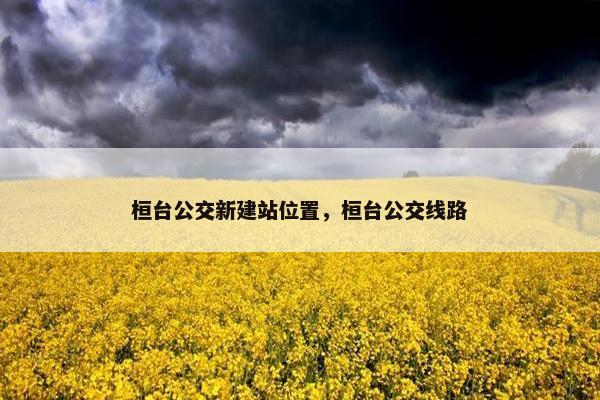 桓台公交新建站位置，桓台公交线路-第1张图片-冷动云
