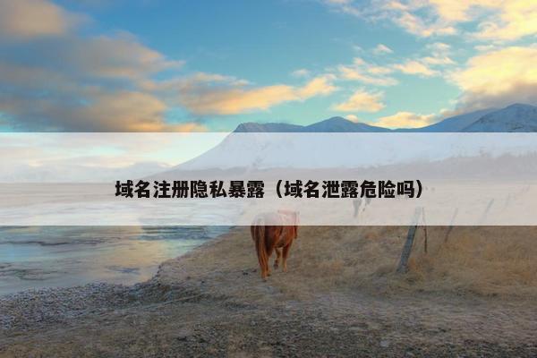 域名注册隐私暴露（域名泄露危险吗）-第1张图片-冷动云