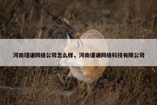 河南瑾谦网络公司怎么样，河南谨谦网络科技有限公司-第1张图片-冷动云