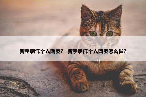 新手制作个人网页？ 新手制作个人网页怎么做？-第1张图片-冷动云