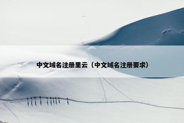 中文域名注册里云（中文域名注册要求）-第1张图片-冷动云