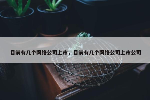 目前有几个网络公司上市，目前有几个网络公司上市公司-第1张图片-冷动云