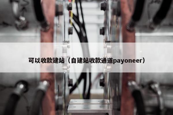 可以收款建站（自建站收款通道payoneer）-第1张图片-冷动云