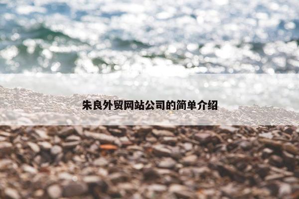 朱良外贸网站公司的简单介绍-第1张图片-冷动云
