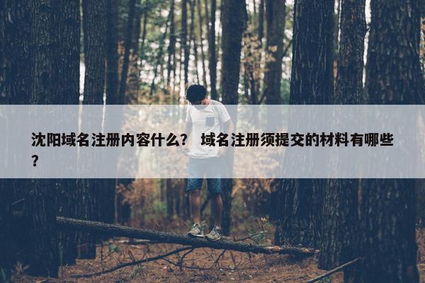 沈阳域名注册内容什么？ 域名注册须提交的材料有哪些？-第1张图片-冷动云