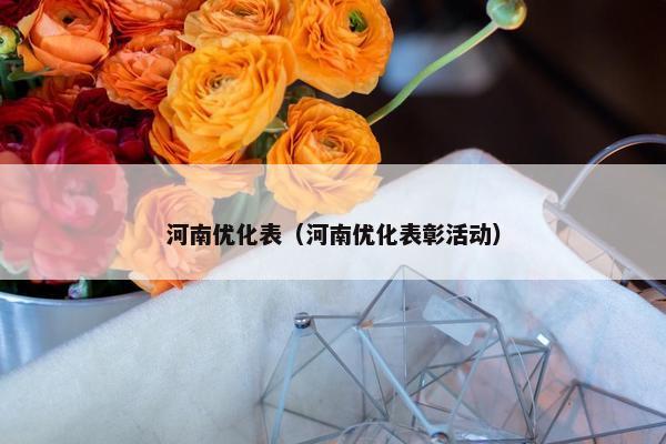 河南优化表（河南优化表彰活动）-第1张图片-冷动云