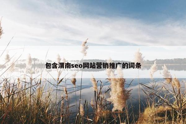 包含渭南seo网站营销推广的词条-第1张图片-冷动云