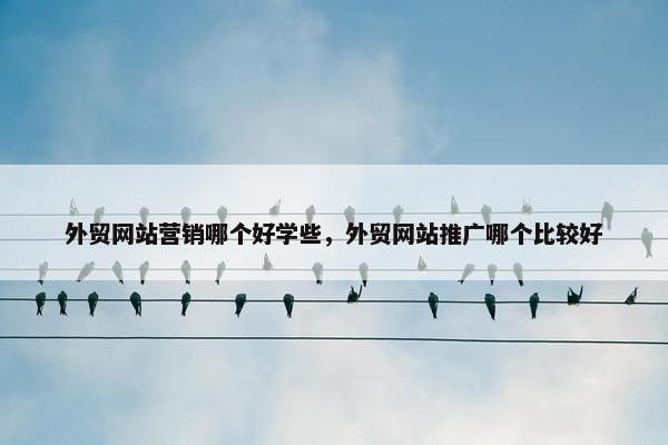 外贸网站营销哪个好学些，外贸网站推广哪个比较好-第1张图片-冷动云