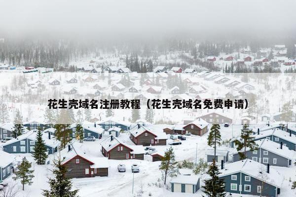 花生壳域名注册教程（花生壳域名免费申请）-第1张图片-冷动云