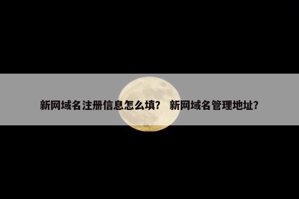 新网域名注册信息怎么填？ 新网域名管理地址？-第1张图片-冷动云
