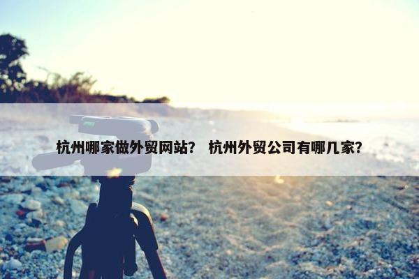 杭州哪家做外贸网站？ 杭州外贸公司有哪几家？-第1张图片-冷动云