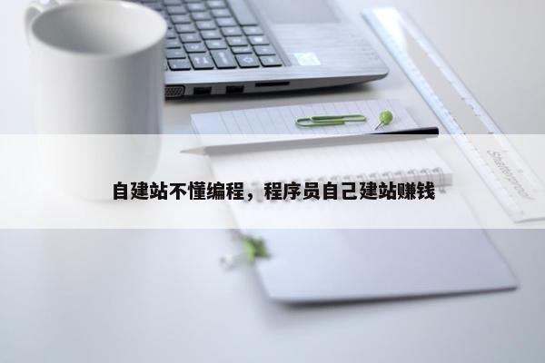 自建站不懂编程，程序员自己建站赚钱-第1张图片-冷动云