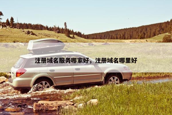 注册域名服务哪家好，注册域名哪里好-第1张图片-冷动云