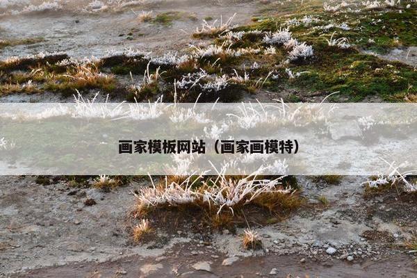 画家模板网站（画家画模特）-第1张图片-冷动云