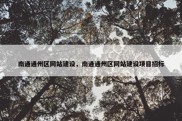 南通通州区网站建设，南通通州区网站建设项目招标-第1张图片-冷动云