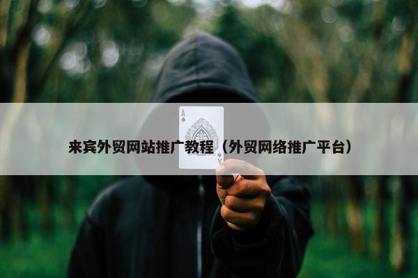 来宾外贸网站推广教程（外贸网络推广平台）-第1张图片-冷动云
