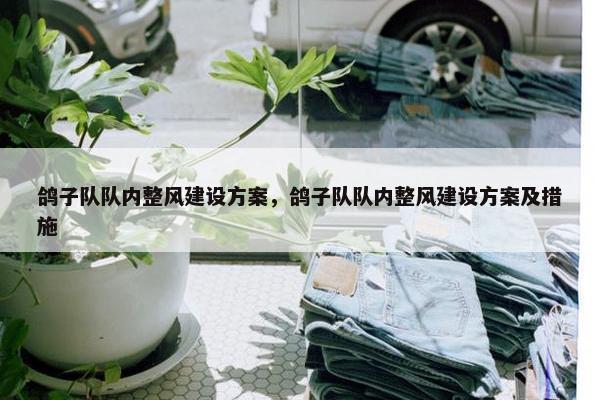 鸽子队队内整风建设方案，鸽子队队内整风建设方案及措施-第1张图片-冷动云