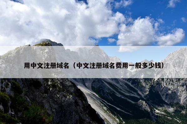 用中文注册域名（中文注册域名费用一般多少钱）-第1张图片-冷动云