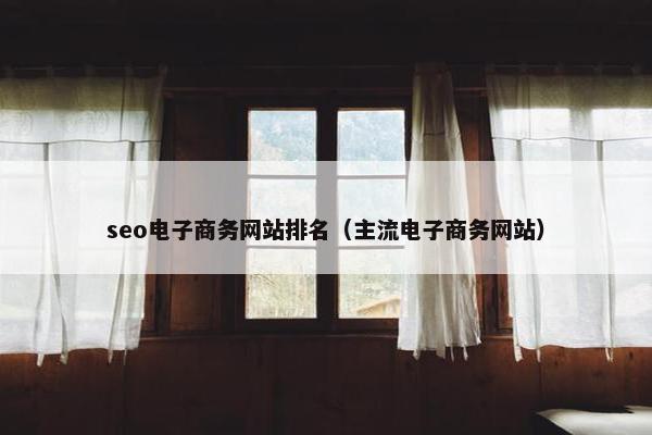 seo电子商务网站排名（主流电子商务网站）-第1张图片-冷动云