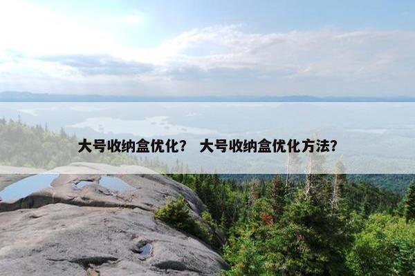 大号收纳盒优化？ 大号收纳盒优化方法？-第1张图片-冷动云