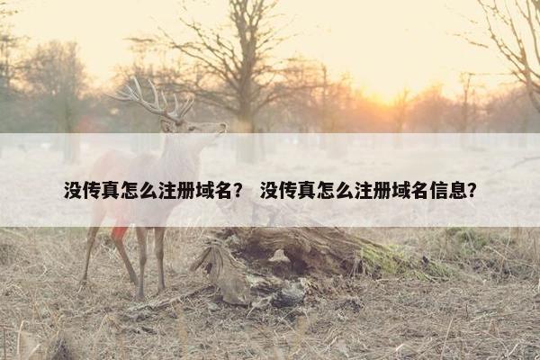 没传真怎么注册域名？ 没传真怎么注册域名信息？-第1张图片-冷动云